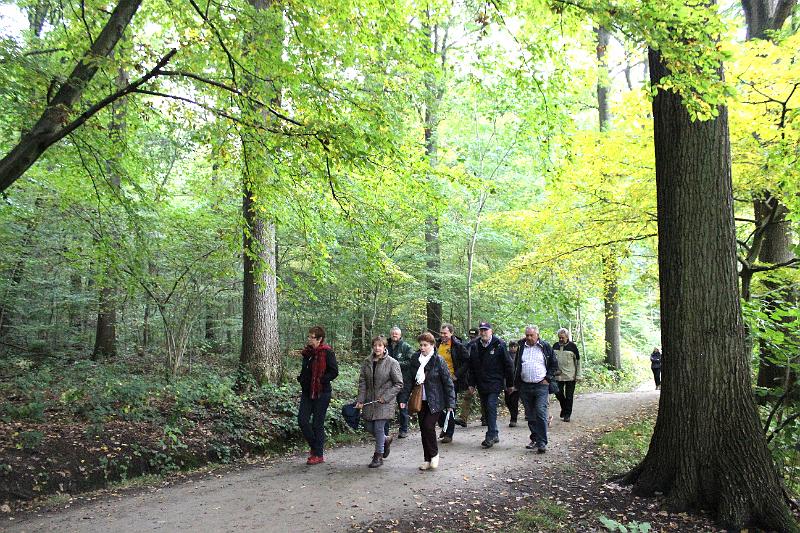 MG Herfstwandeling op 18-10-2015, org. Judith & Monke Menten (31).jpg